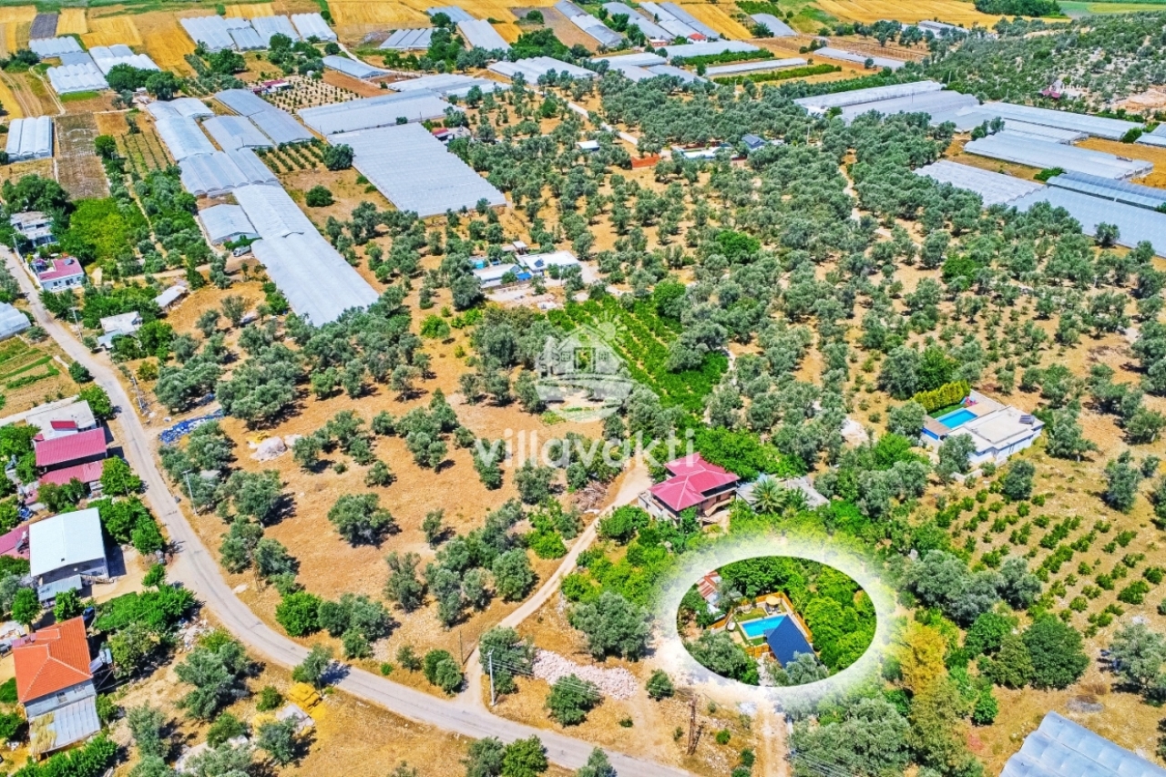 Zeytin ağaçları ve seralarla çevrili arazide yer alan, özel havuzlu müstakil villa.