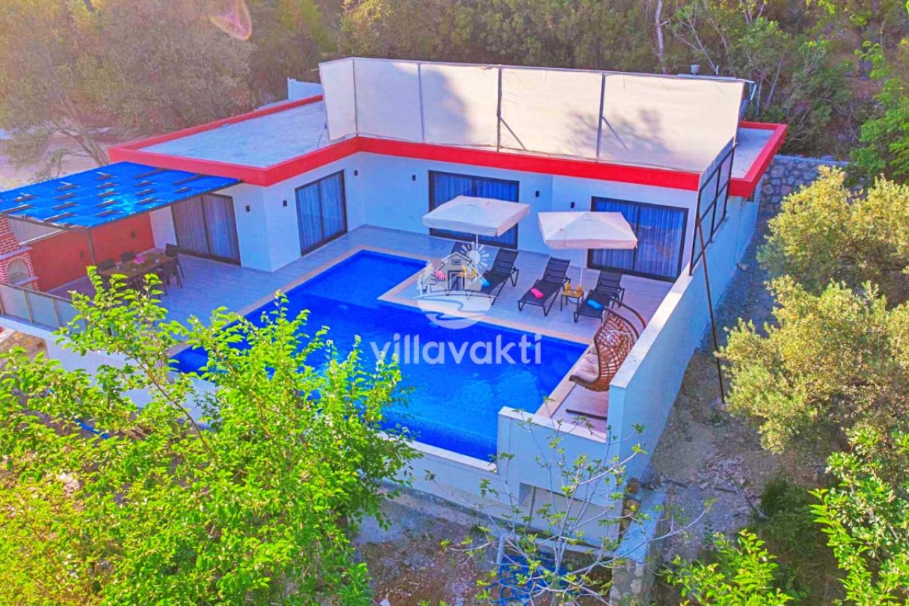 Ağaçlarla çevrili bahçesinde havuzu ve şezlongları bulunan villanın havadan görünümü.